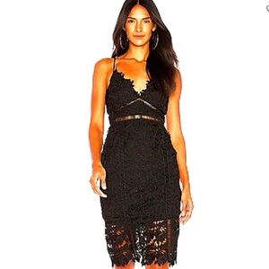 Bardot Botanica Black Cut out Lace Crochet Dress